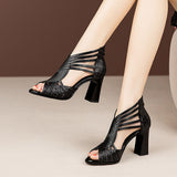 Color Block Thick Heel Sandals Mesh Fish Mouth Sandals Stiletto Boots High Heels
