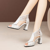 Color Block Thick Heel Sandals Mesh Fish Mouth Sandals Stiletto Boots High Heels