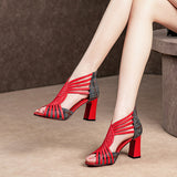 Color Block Thick Heel Sandals Mesh Fish Mouth Sandals Stiletto Boots High Heels